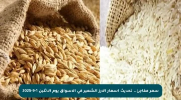 سعر مفاجئ.. تحديث أسعار الأرز الشعير في الأسواق يوم الاثنين 1-9-2025